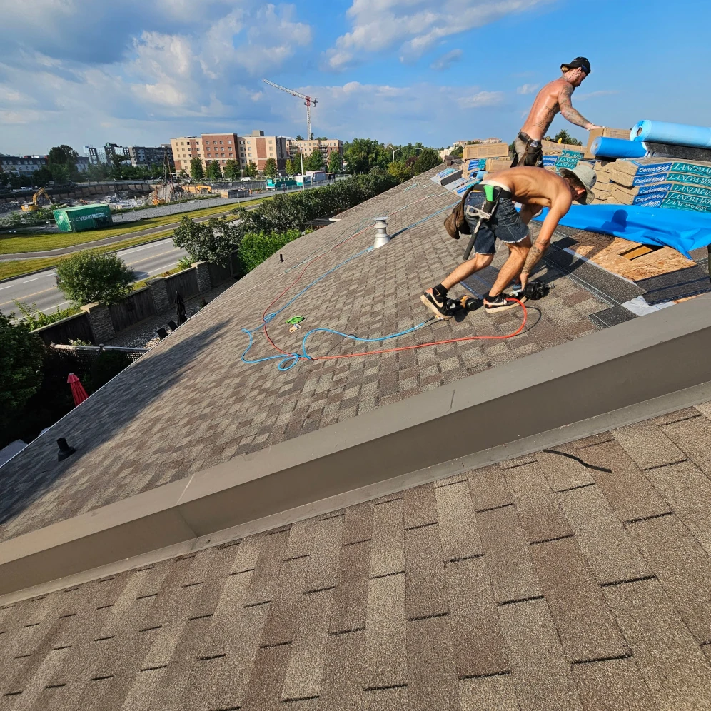 Townhouse Row Shingle Roof Replacement