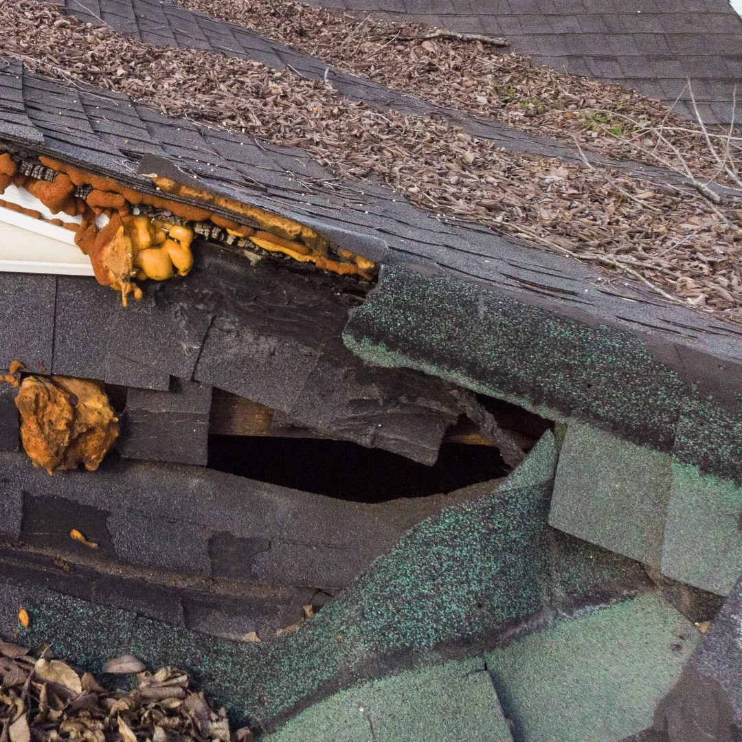 Roof Repairs