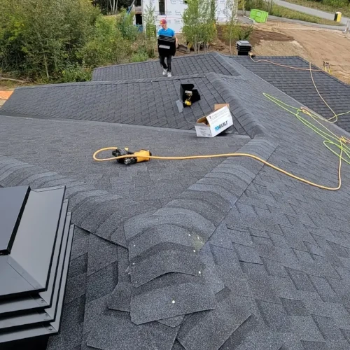 Unique Roofing Project